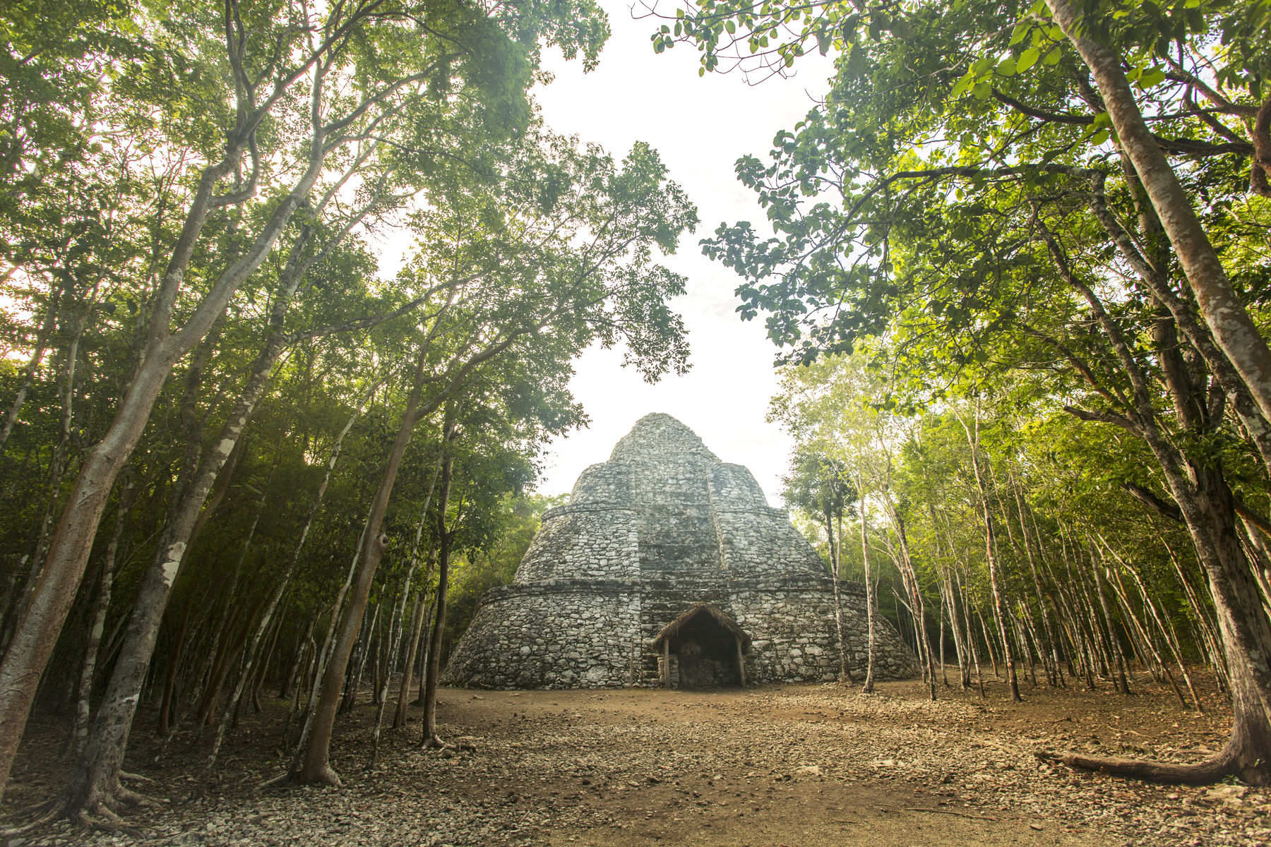 Ruinas Mayas en Coba
