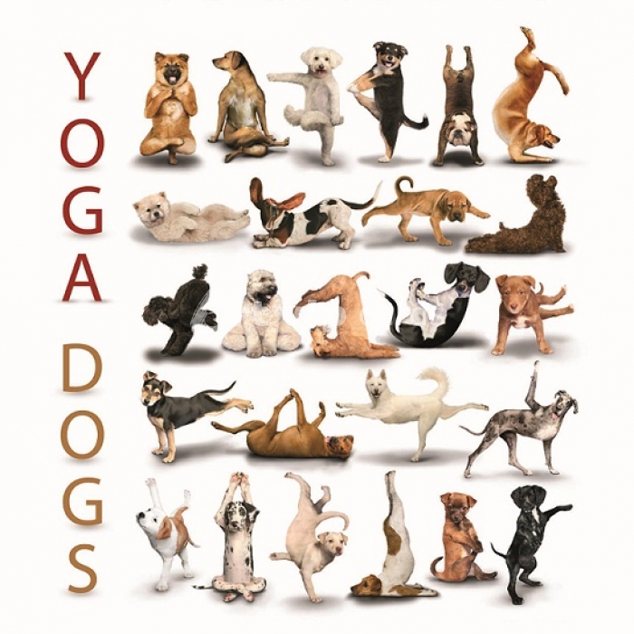 perros yoga