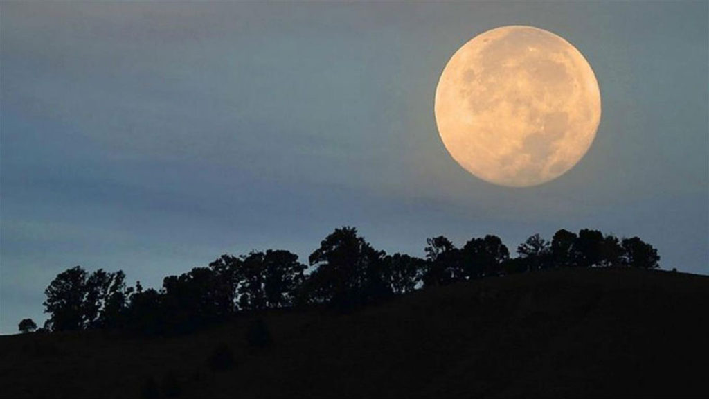 La Luna llena en Cáncer hará conjunción con Marte retrógrado, lo que suele manifestarse en tensiones y disputas. 