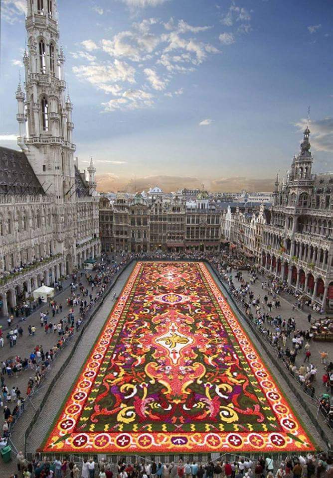 Alfombra Floral 2016 en la Grand Place de Bruselas Buena Vibra