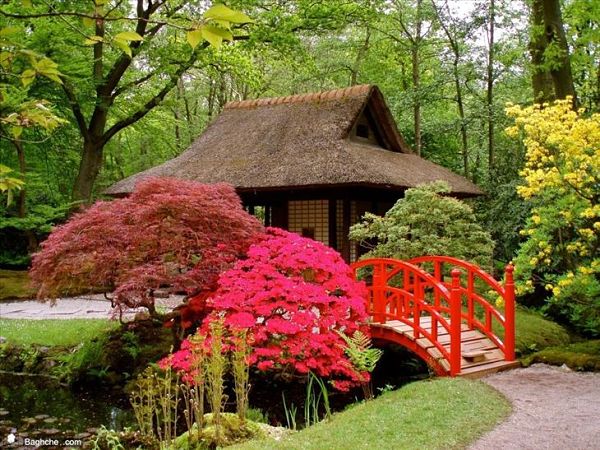 Jardín Ryoan Ji Zen Kyoto