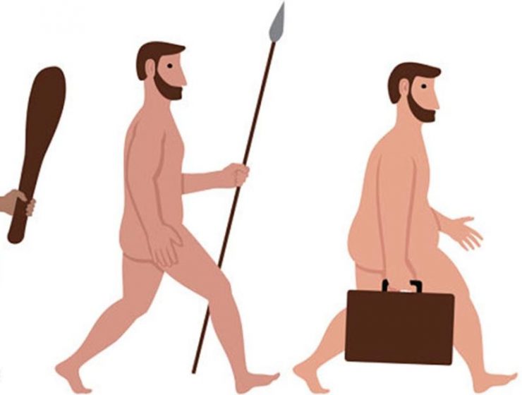 evolucion homo sapiens