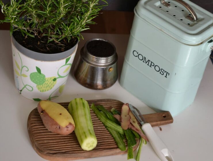 Recortes de vegetales sobre una tabla junto a un contenedor de compost de cocina y una maceta con planta aromática.