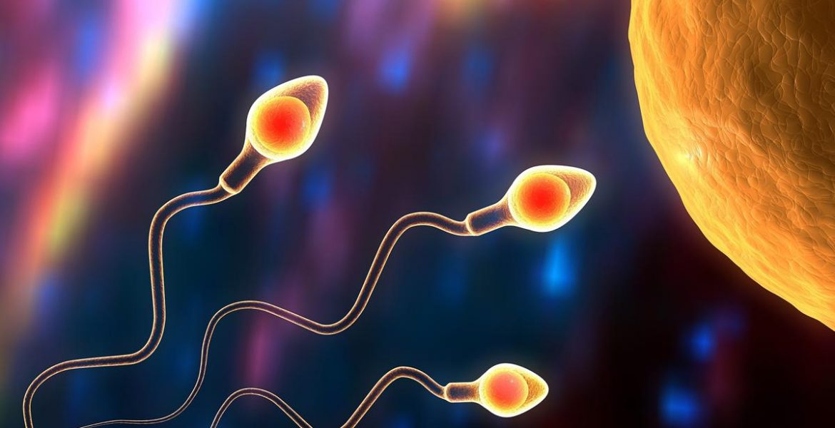 Fertilidad Masculina Qué Es El Espermograma Y Para Qué Sirve Buena Vibra