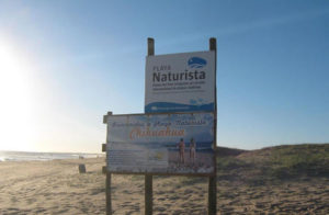 Chihuahua La Playa Nudista De Perfil Bajo En Punta Del Este Buena Vibra