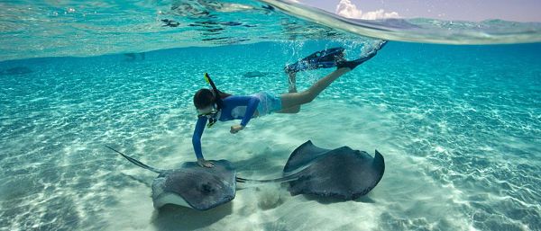 Islas Caimán, el edén de la gastronomía y las playas del Caribe - Buena