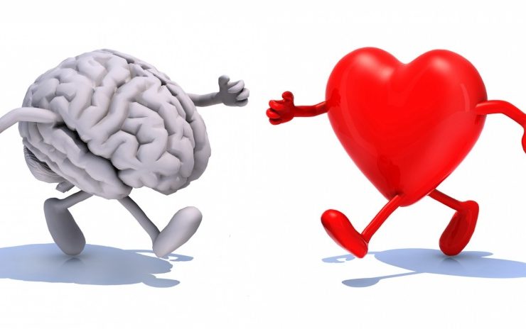 corazon y cerebro