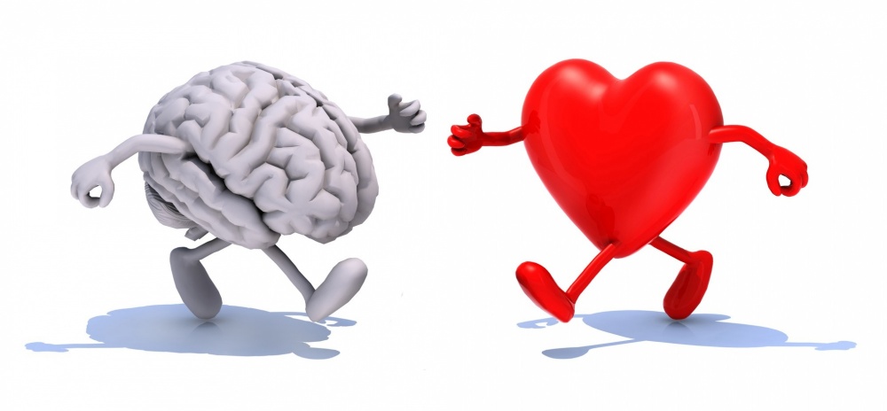 corazon y cerebro