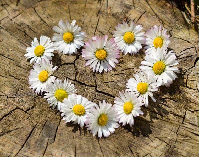 primavera amor
