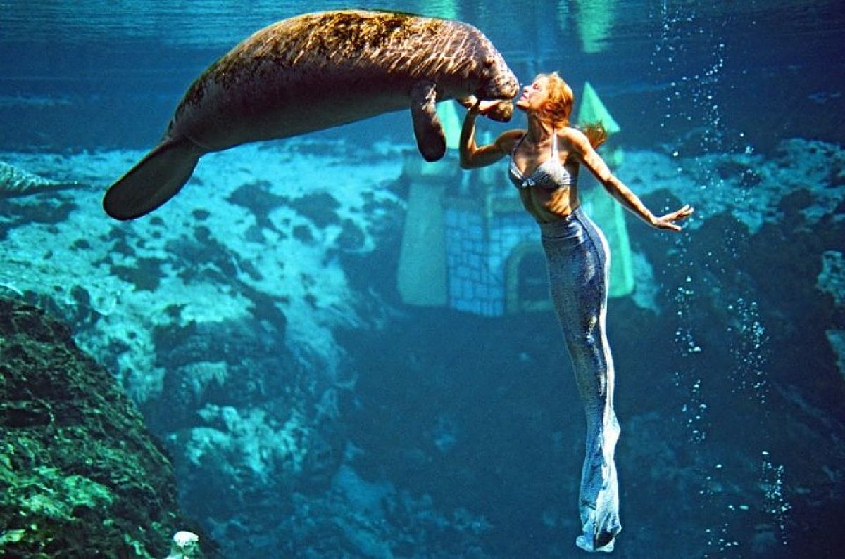Las sirenas existen y están en Florida Buena Vibra