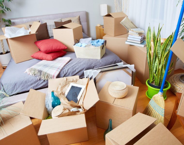 ecosofía cómo dejar de acumular cosas