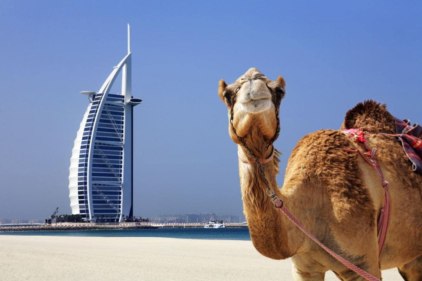 Cruceros a Dubai un viaje para sumergirse en los encantos de oriente