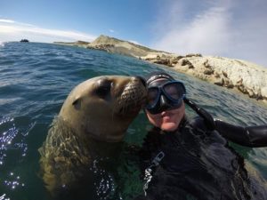 snorkeling con lobos marinos