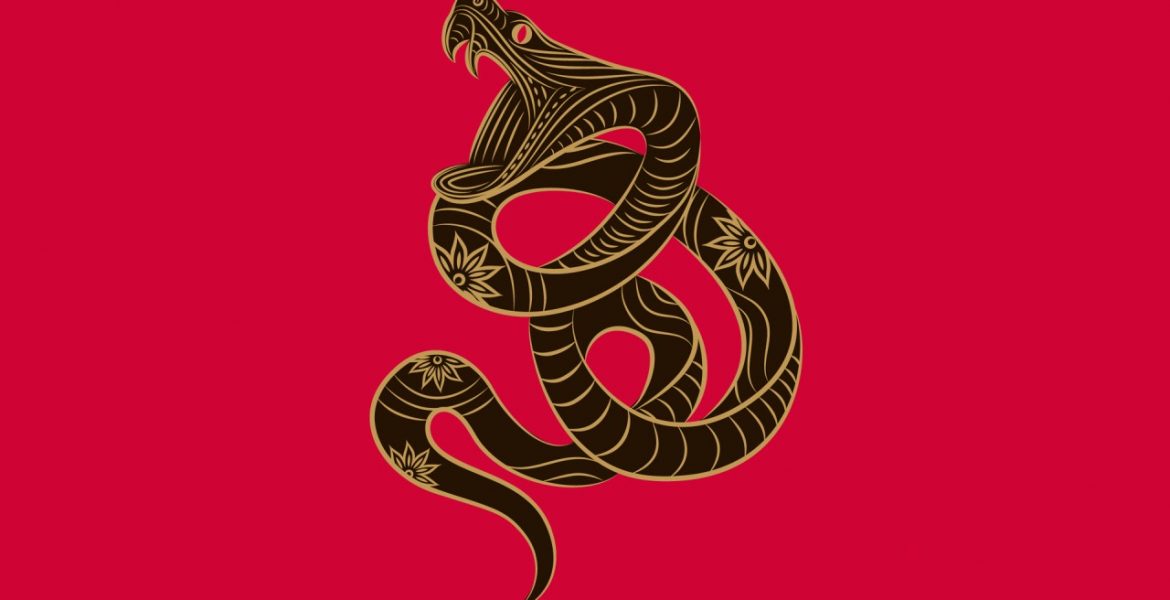 ludovica squirru horoscopo chino 2019 serpiente
