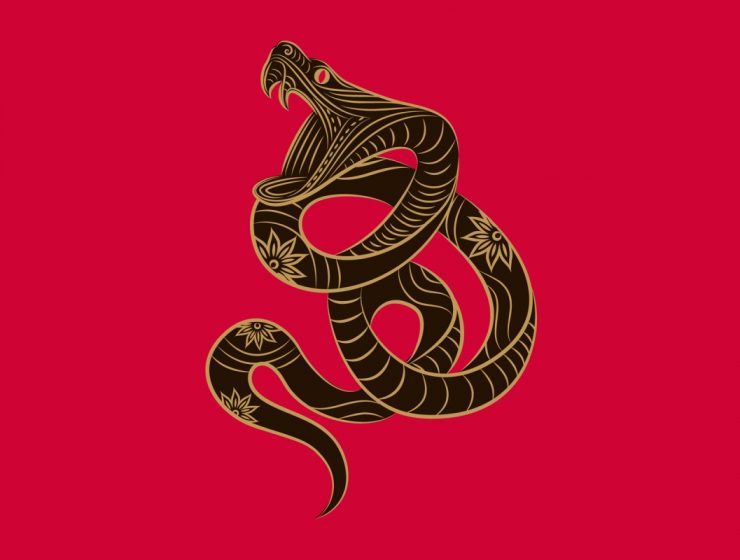 ludovica squirru horoscopo chino 2019 serpiente