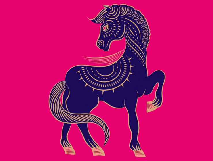 horoscopo chino 2019 caballo ludovica squirru