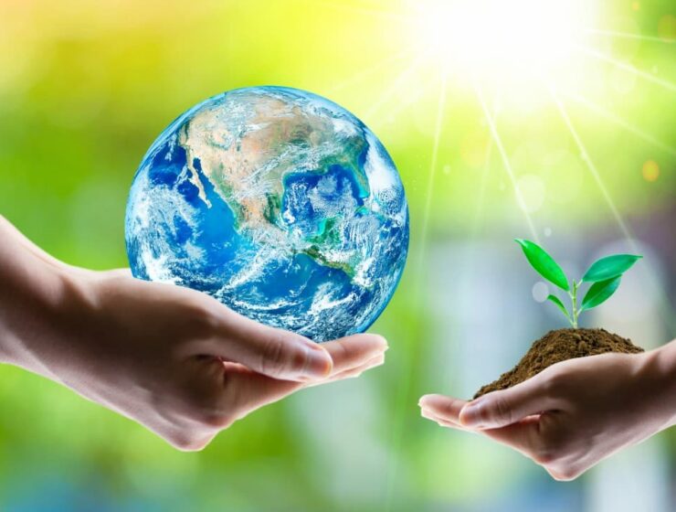 Manos sosteniendo la Tierra y un brote verde como símbolo de innovación en agronegocios.