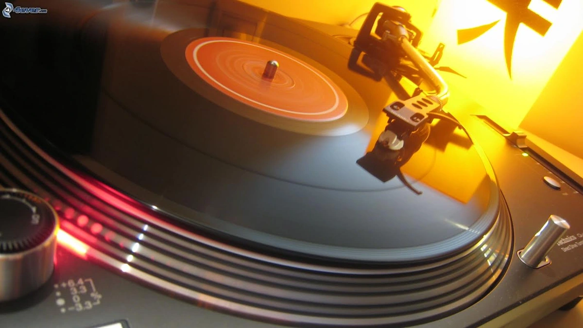 vinilo