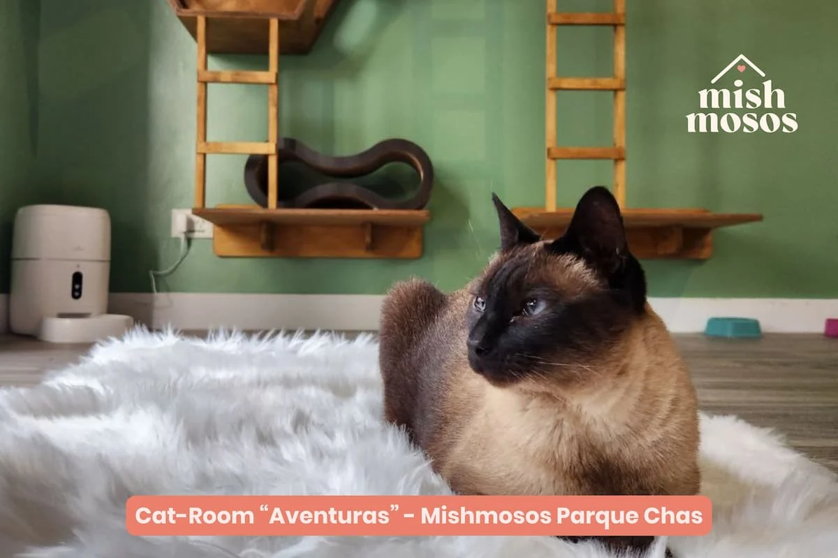 hotel para gatos