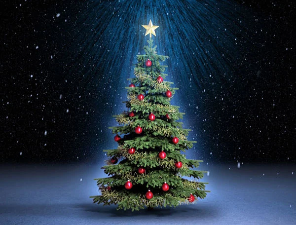 que significa el arbol de navidad 