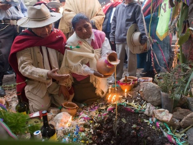 recetas de caña con ruda