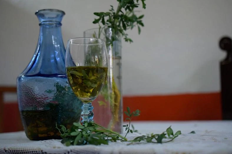 caña con ruda receta