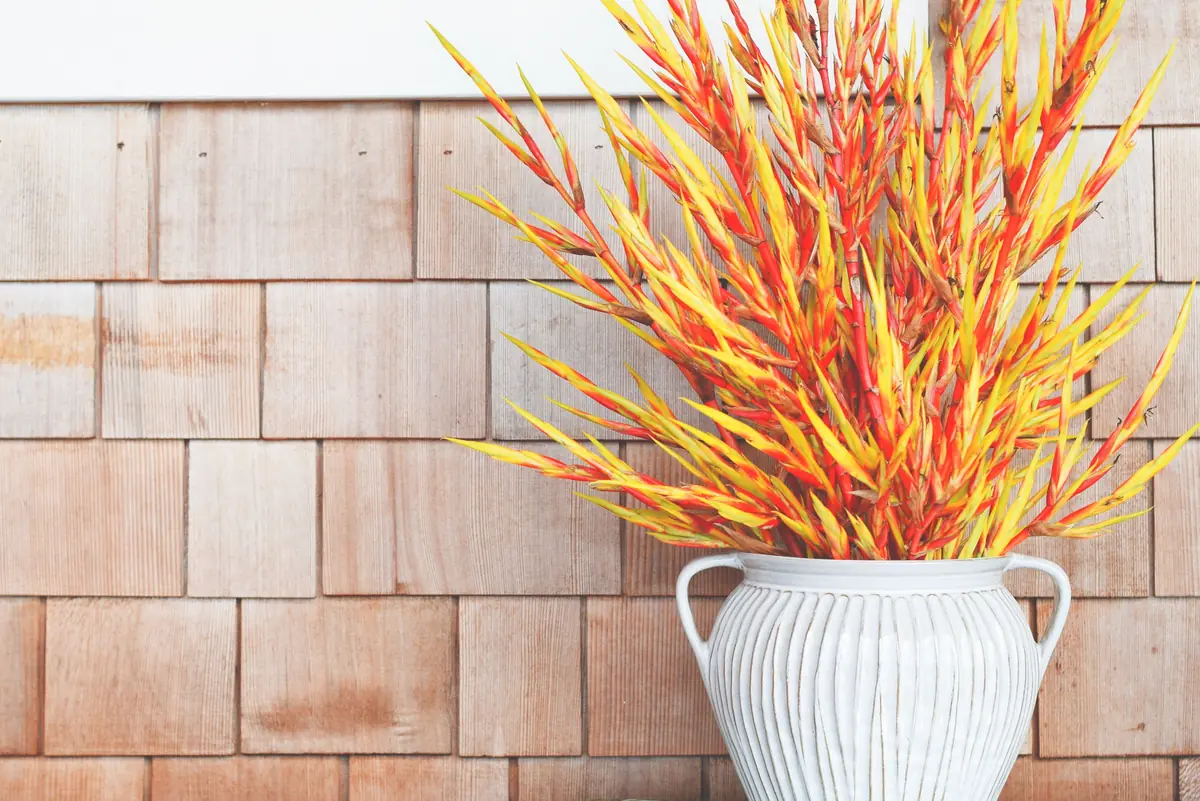 Jarrón blanco de cerámica con follaje en tonos cálidos (rojo y amarillo) frente a una pared de madera, un ejemplo de cómo usar acentos de color en la decoración.