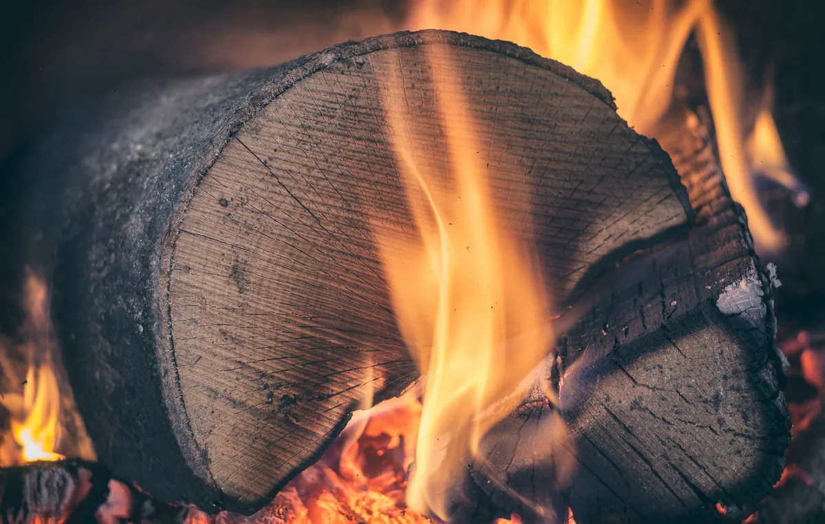 tipos de leña para hacer fuego