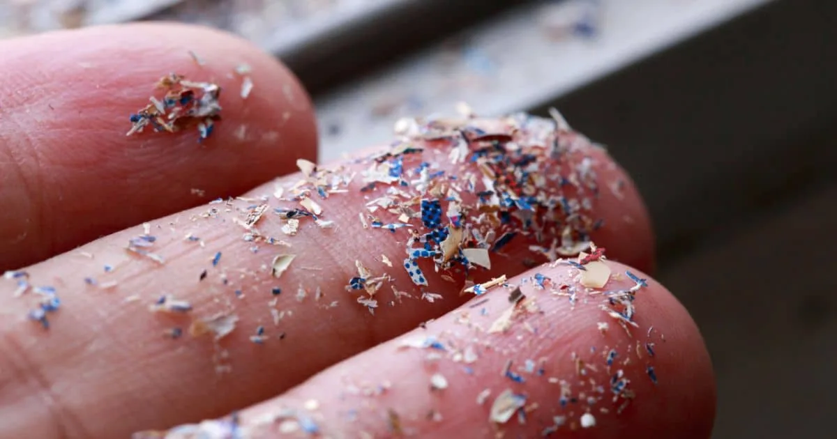 El Peligro de los Microplásticos en el Medio Ambiente Primer plano de una mano humana cubierta de microplásticos, pequeñas partículas de plástico de colores que contaminan el medio ambiente.