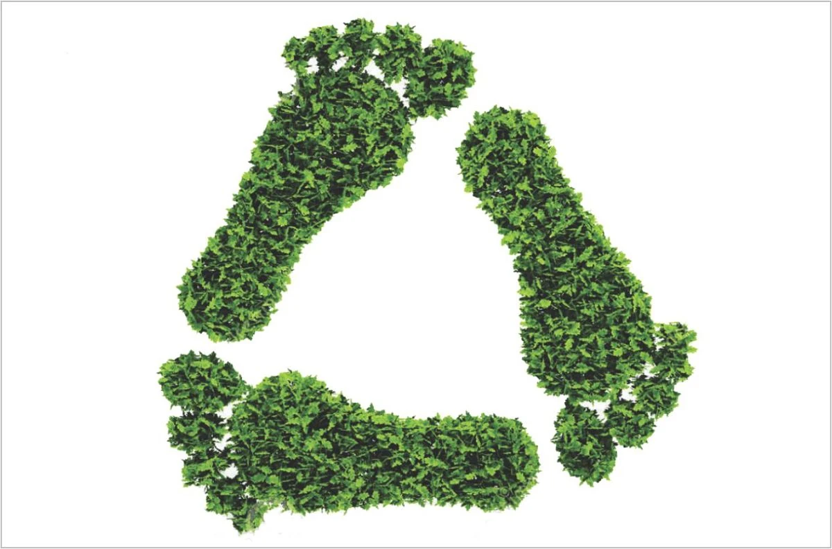 reciclar 