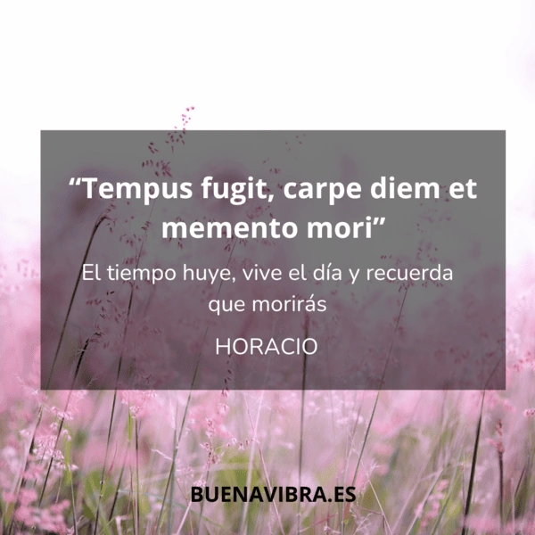 Cita de Horacio «Tempus fugit, carpe diem et memento mori» sobre un campo de flores rosadas