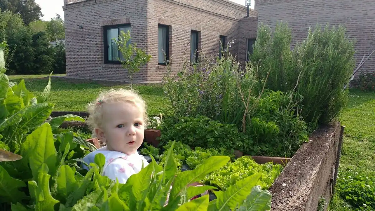 huerta en casa