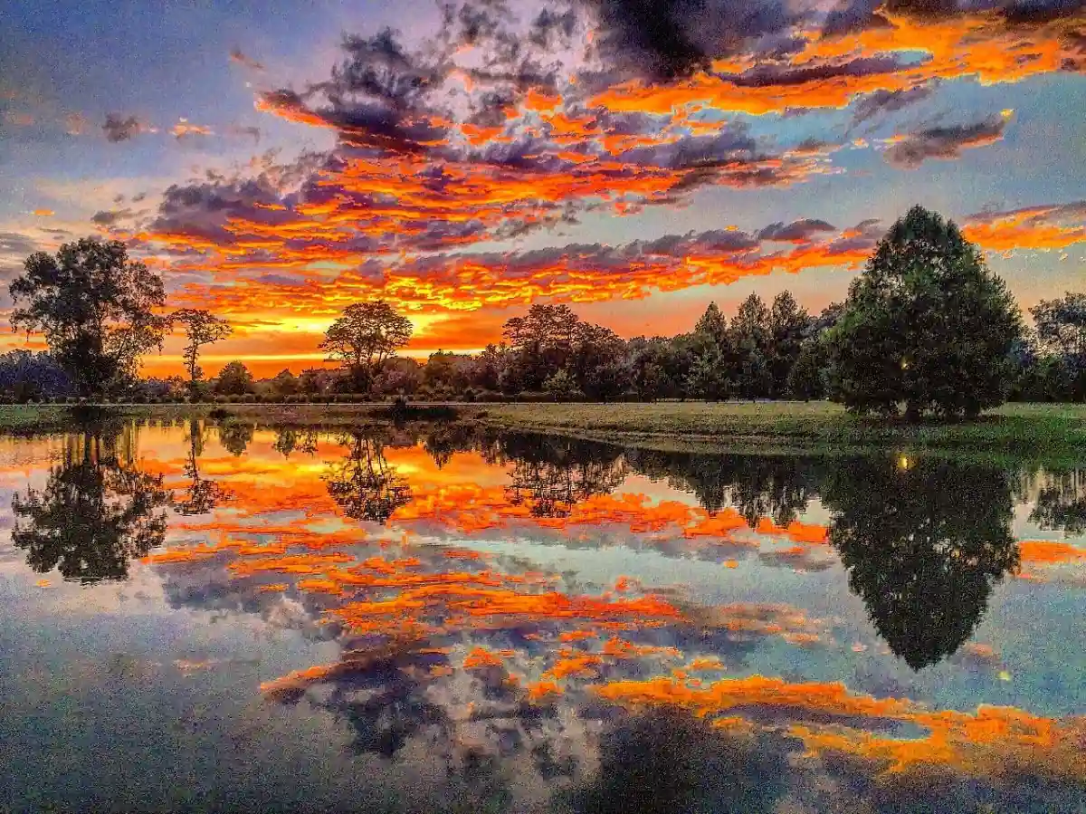 Paisaje al aardecer en el ccampo