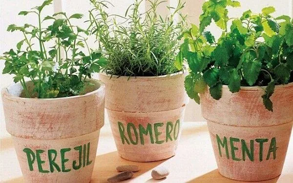 plantas purificadoras