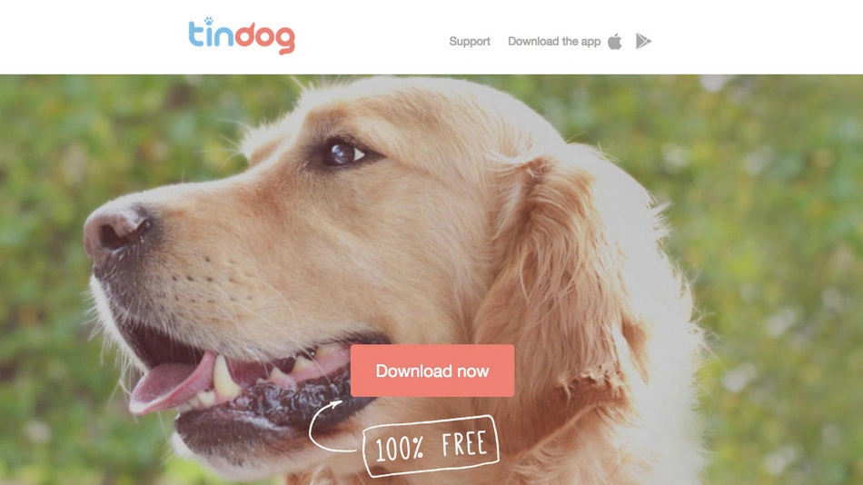 Que es el TinderDog? Descubre el nuevo tinder para mascotas