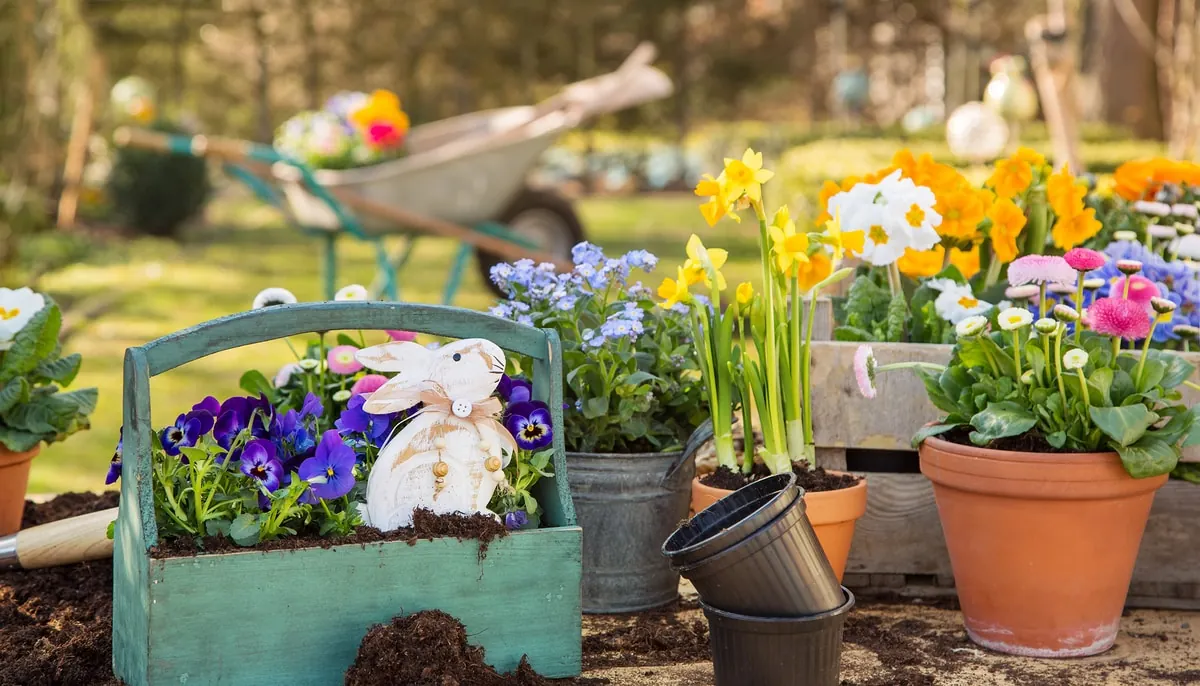 plantas flores 