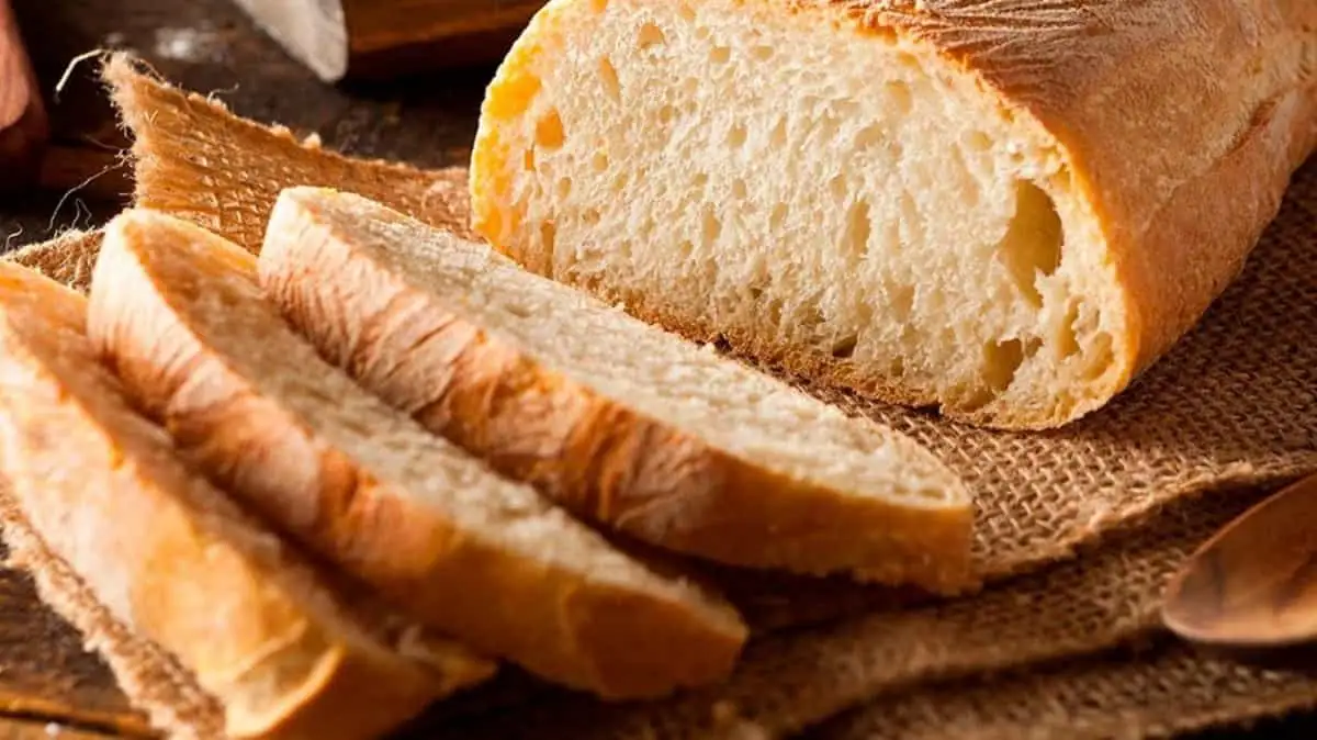 pan con orina