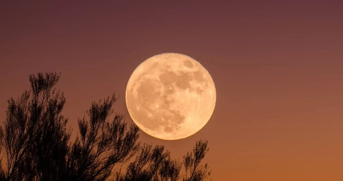 luna llena en tauro noviembre 2024