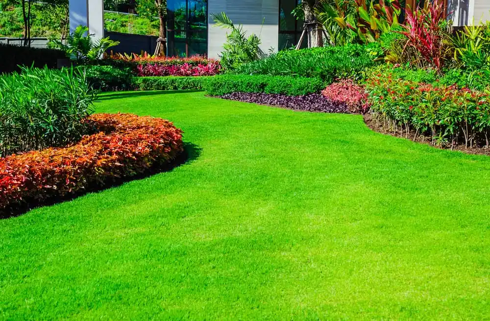Arbustos de flor para parterres y macizos parterres geométricos con arbustos floridos y follaje ornamental en jardín moderno