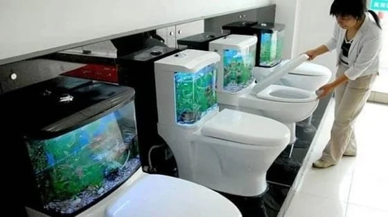 inventos raros inodoro pecera