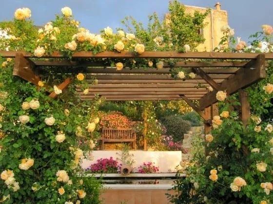 pergola con flores