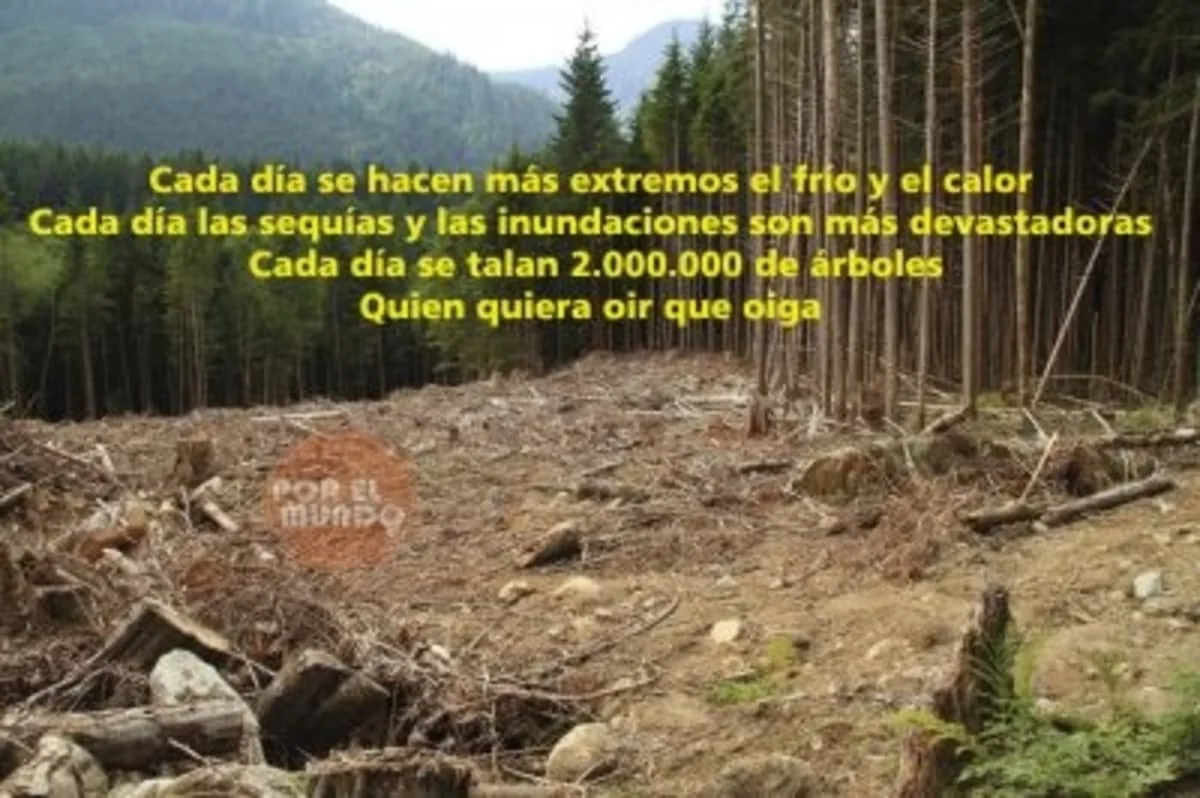 tala de arboles