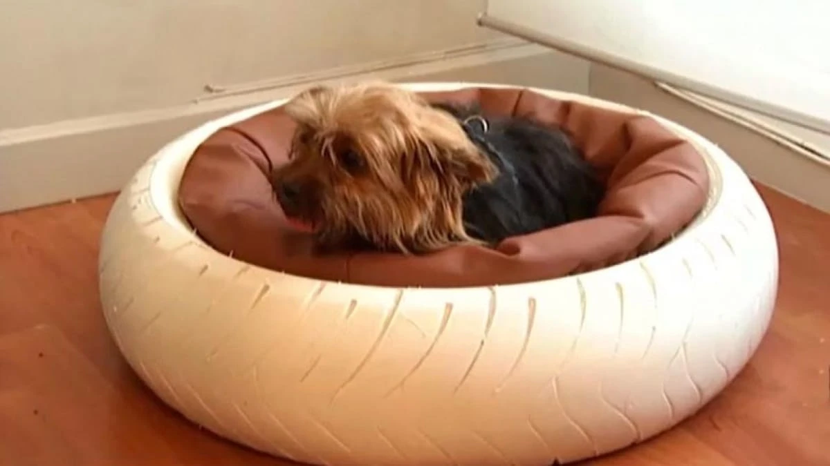 camas para perros