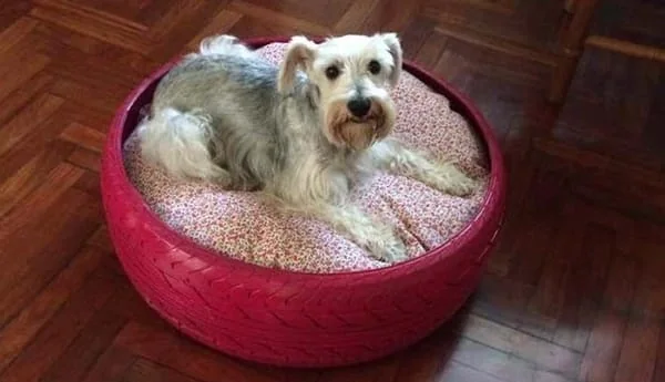 cama para perros