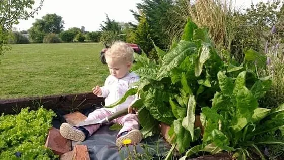 huerta en casa