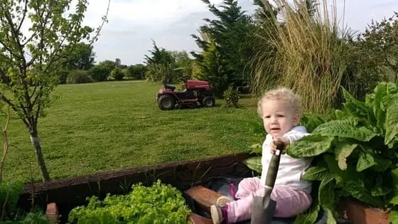 huerta en casa