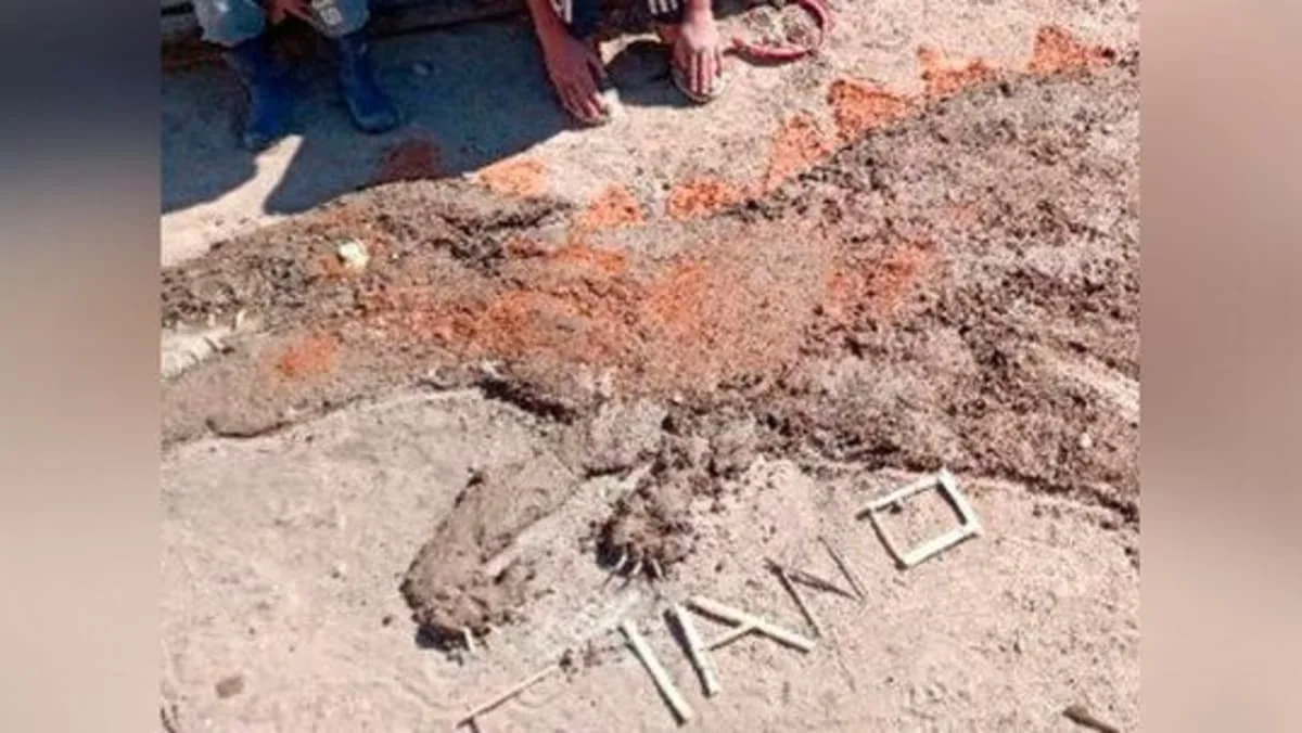 alumno obra de arte