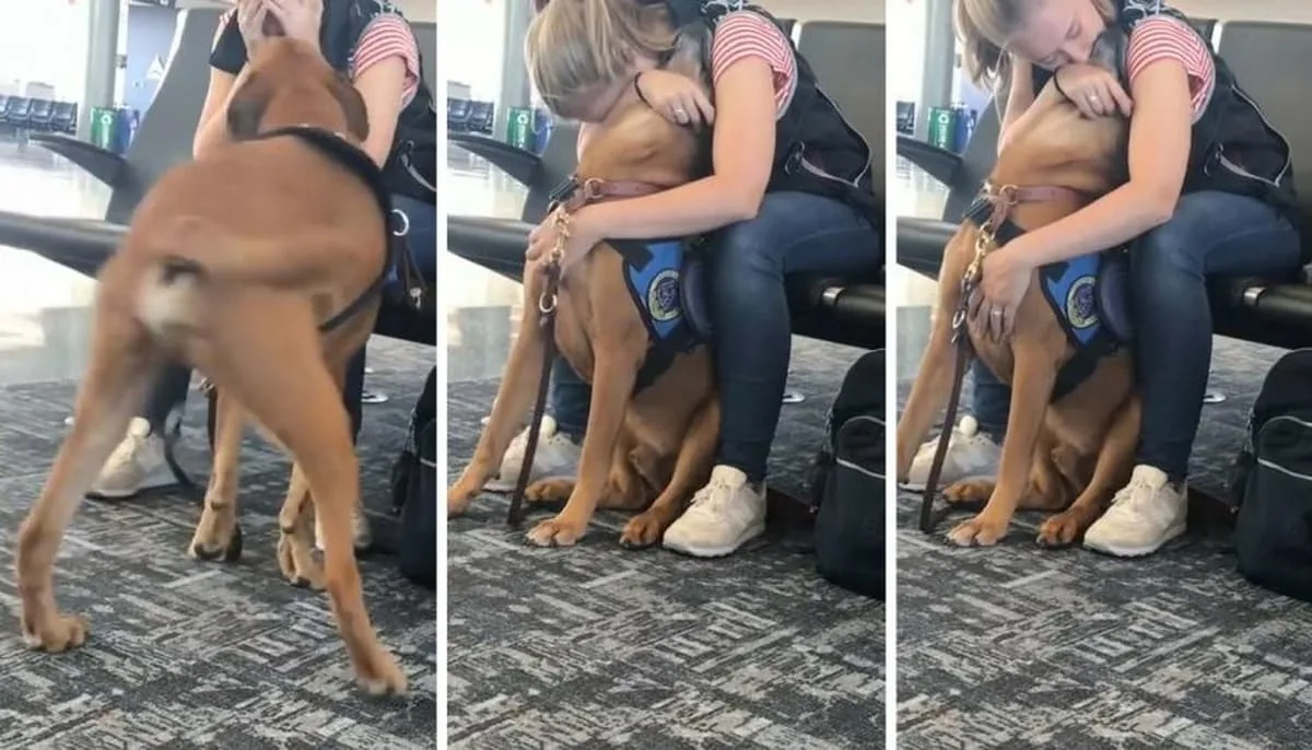 ataque de panico perro