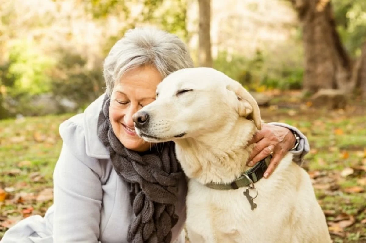 perros y humanos envejecen