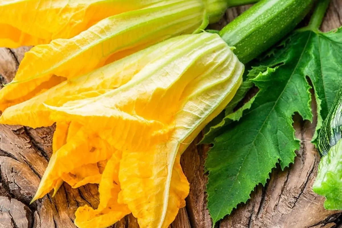 recetas con flor de calabaza
